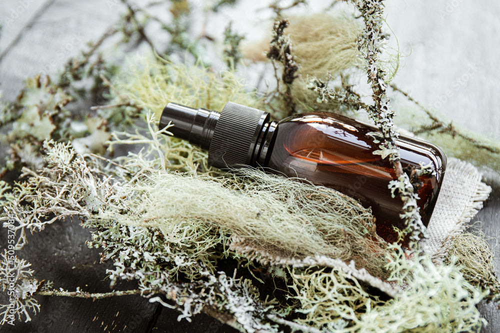 A brown glass spray bottle with a black pump lies on a bed of dried moss and lichen. The bottle, bearing the logo of Crushed Botanicals Apothecary, is nestled among the natural elements, creating an earthy and organic aesthetic. The Pain Canceler (formerly Push Back the Pain) Tincture by Crushed Botanicals Apothecary promises to soothe pain naturally using its specially formulated ingredients.