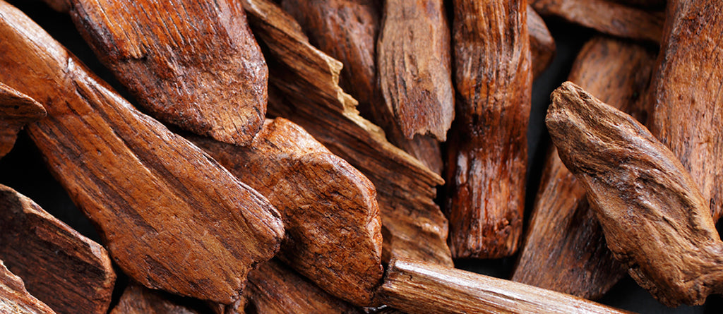 Sandalwood Bark